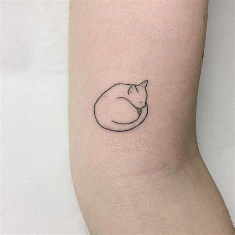 Simple Curled Up Cat Drawing - Goimages Web