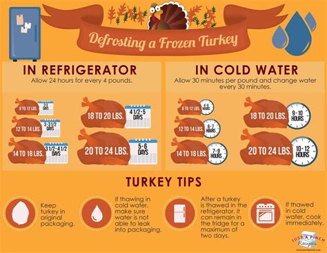 Defrosting a Frozen Turkey | Frozen turkey, Thanksgiving cooking ...