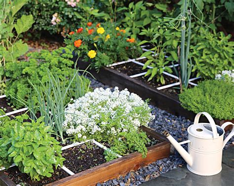 What is square foot gardening and should you try it this spring ...