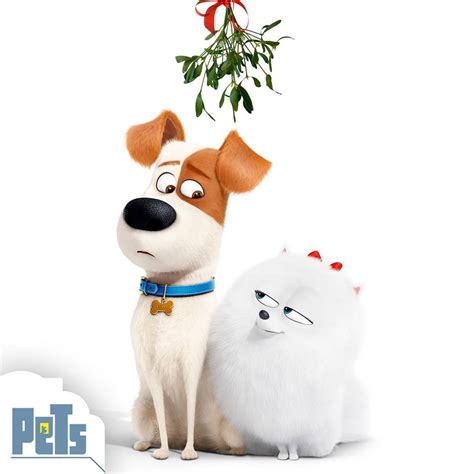 Image - Max and gidget christmas.jpg | The Secret Life of Pets Wiki ...