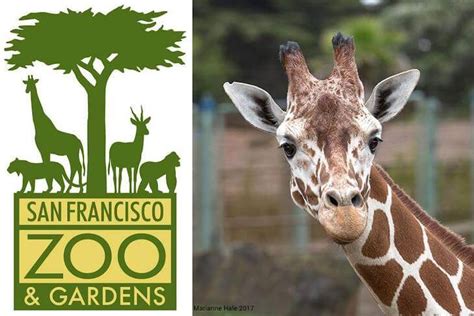 San Francisco Zoo & Gardens: General Admission Ticket | Undercover Tourist