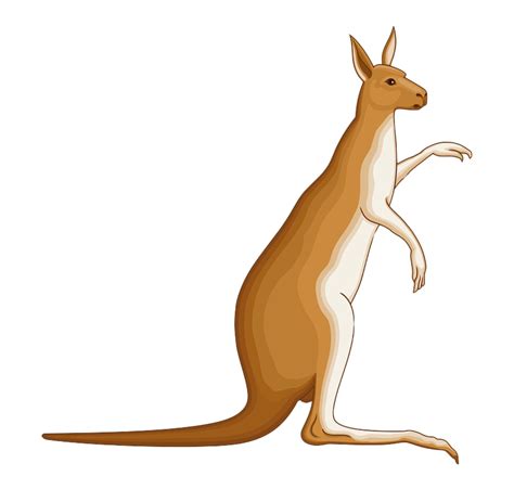 Kangaroo PNG Transparent Images, Pictures, Photos