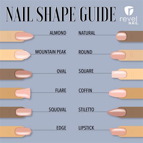 Choosing a Perfect Nail Shape! - RevelNail | Acrylic nail shapes, Nail ...