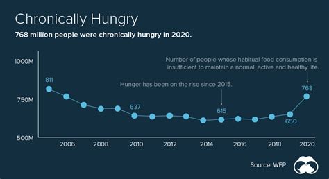 World Hunger Statistics Charts