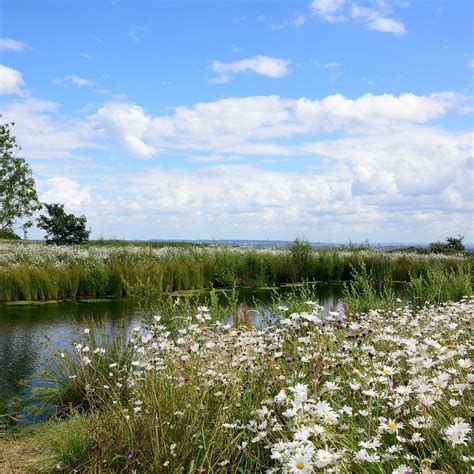 Stanmore Country Park - Qué SABER antes de ir (ACTUALIZADO 2024 ...