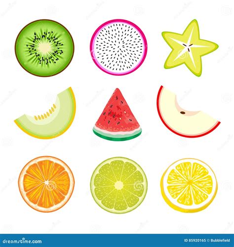 Slice of Fruit stock vector. Illustration of digital - 85920165