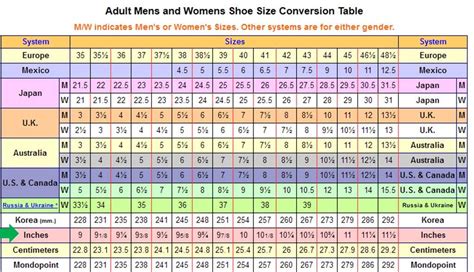 How To Measure Foot For Shoe Size