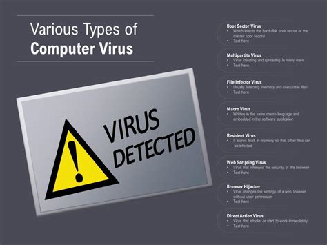 Various Types Of Computer Virus | PowerPoint Slides Diagrams | Themes ...