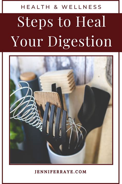 Heal your digestion with these 3 easy steps! | Digestion, Herbal ...