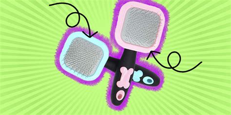 Best Short Hair Dog Brushes For A Healthy Coat - DodoWell - The Dodo