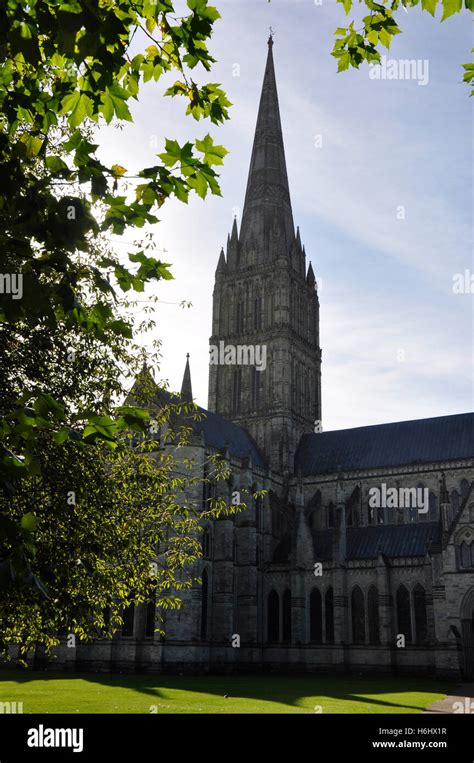 Wiltshire - Salisbury Cathedral - against the light - dramatic ...