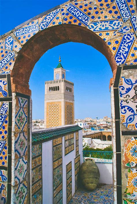 Best things to do in Tunis in spring - Lonely Planet