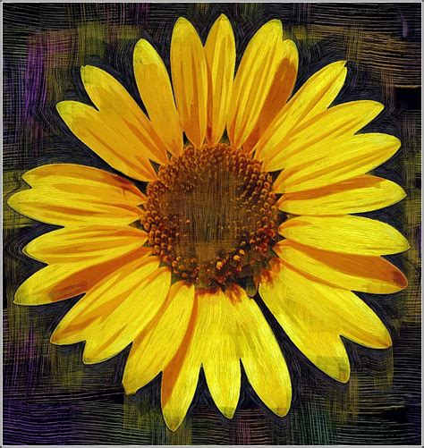 All This Is That: Painting: Flowers No. 25 - Sunflower