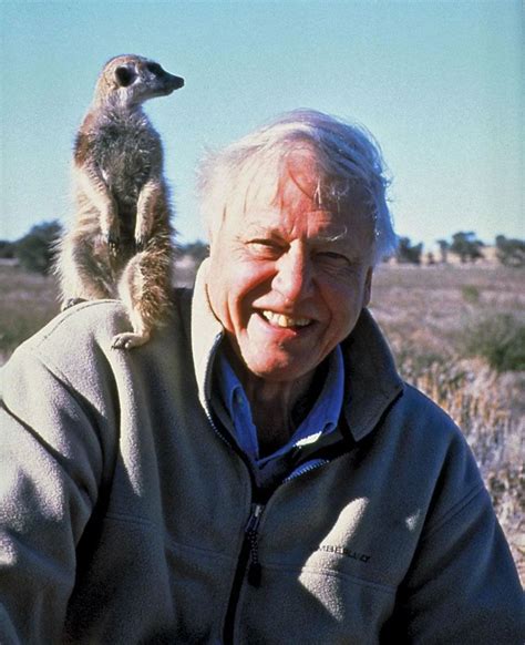 Today, English biologist and broadcaster David Attenborough, aged 96 ...