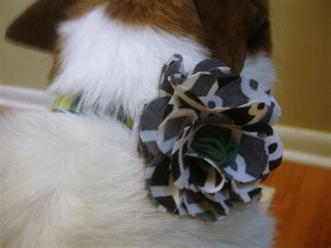 Don't Disturb This Groove: Flower Dog Collars