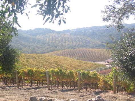 Tablas Creek Vineyard Blog: Paso Robles Weather Musings