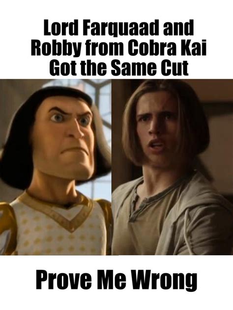 50+ Funny Cobra Kai Memes That Are Relatable AF