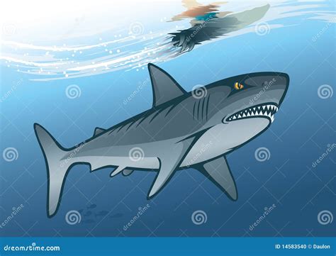 Shark and Surfer Riding on Water Wave Stock Vector - Illustration of ...