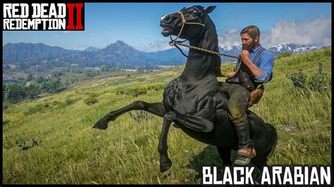 The BLACK ARABIAN - Red Dead Redemption 2 Story Mode - YouTube