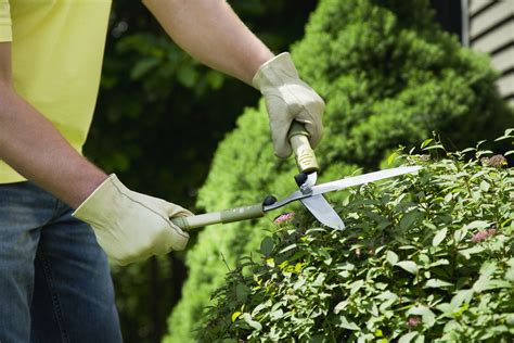 10 Landscaping Errors to Avoid