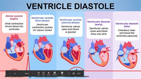 CARDIAC CYCLE Easiest explanation || Atrial & Ventricular Systole and ...