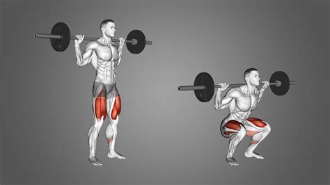 Barbell Squat: Benefits, Muscles Used, and More - Inspire US