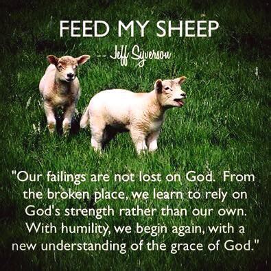 Feed My Sheep (June 2) | Feed my sheep, Scripture reading, Gods strength