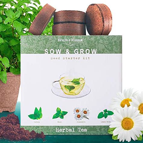 Grow 4 Herbs for Making Herbal Tea - Indoor Garden Seed Starter Kit for ...