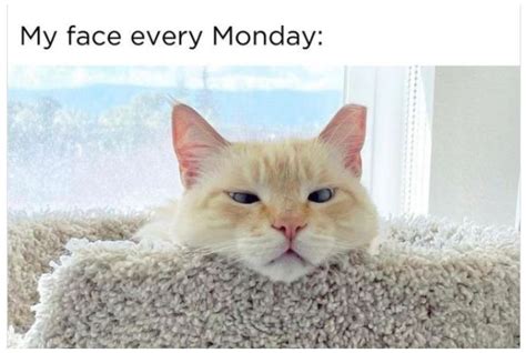 10 Monday Memes That Are Just An Absolute Mood | MissMalini