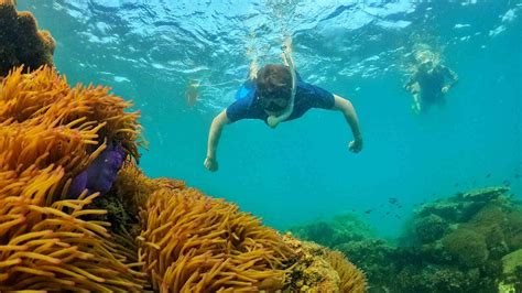 7 Best Moorea Snorkeling Spots and Tours To Check Out