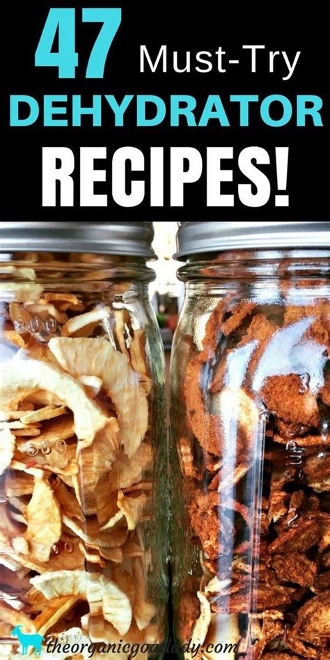 47 Food Dehydrator Recipes! - The Organic Goat Lady | Recipes ...