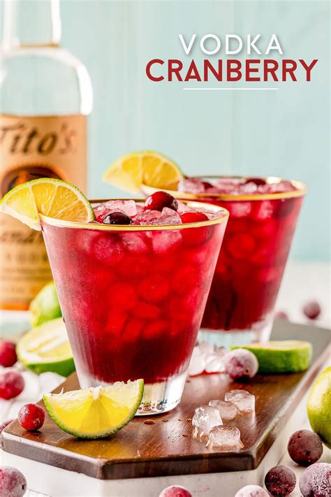 Vodka Cranberry Cocktail - Cape Cod Drink - Mom On Timeout