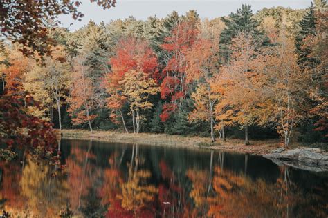 Local's Guide: Maine Fall Road Trip Itinerary (New England) — the weithouse