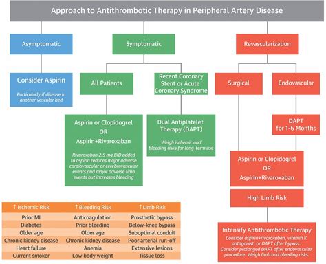 New treatments for peripheral artery disease | Cleveland Clinic Journal ...