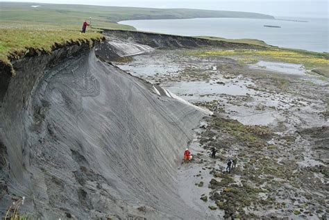 42,000 Year-Old Perfectly Intact Horse Discovered In Permafrost ...