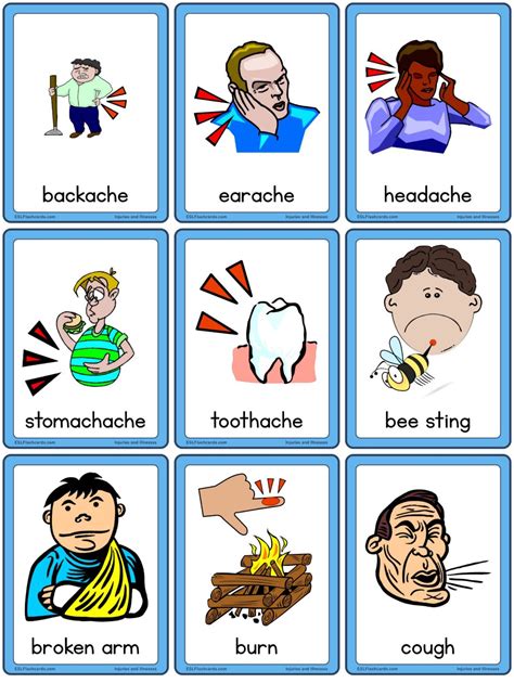 body – ESL Flashcards