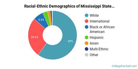 Mississippi State University Diversity: Racial Demographics & Other Stats