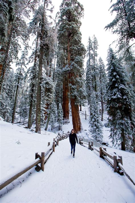 Visiting Kings Canyon & Sequoia National Parks in the Winter — Beyond ...