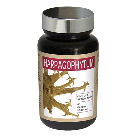 Nutri Expert Harpagophytum Joint Comfort 60 Gelules - Easypara