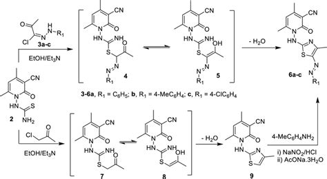 Synthesis of thiazole derivatives 6 and 9. | Download Scientific Diagram