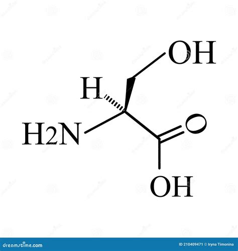 Serine Amino Acid. Chemical Molecular Formula Serine Amino Acid Stock ...