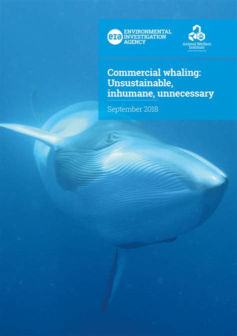 Commercial whaling: Unsustainable, Inhumane, Unnecessary – EIA Reports