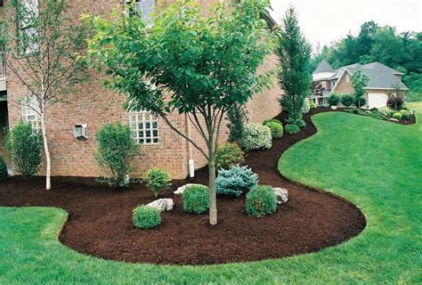 Landscaping Ideas For Around Trees - Image to u