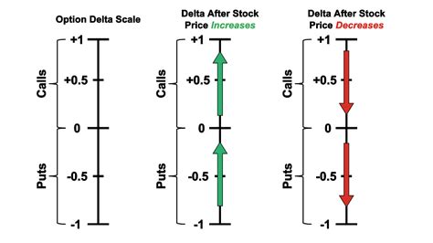 Option Gamma Explained (Best Guide w/ Examples) | projectoption