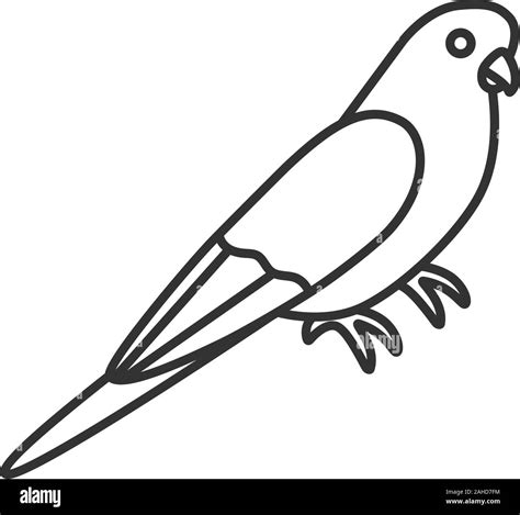 Parrot drawing Black and White Stock Photos & Images - Alamy