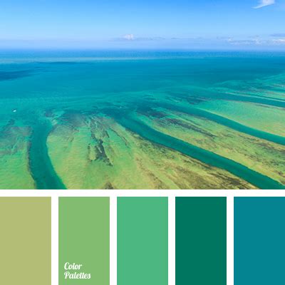 aqua color | Color Palette Ideas