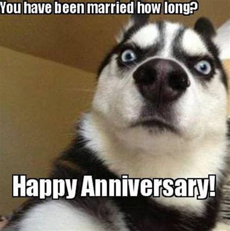 25 Memorable and Funny Anniversary Memes - SayingImages.com | Happy ...