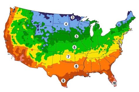 What Are Gardening Zones And What’s Your Planting Zone?