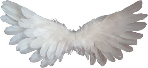 Angel Heaven Clip art - angel wings png download - 1920*888 - Free ...