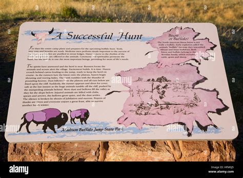 Interpretive board, Madison Buffalo Jump State Park, Montana Stock ...